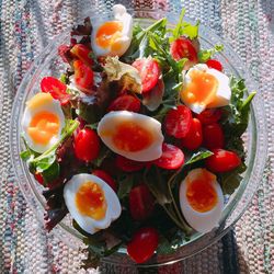 Close-up of food in bowl