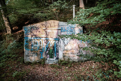 Graffiti on wall by trees in forest