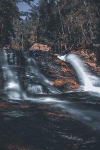 Scenic view of waterfall in forest