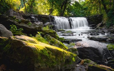 Scenic view of waterfall in forest