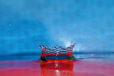 Close-up of water crown