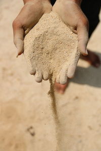 Low section of person holding sand at beach