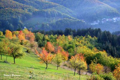 Scenic view of mountains