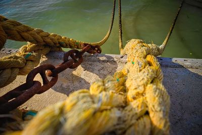 Ropes at harbor