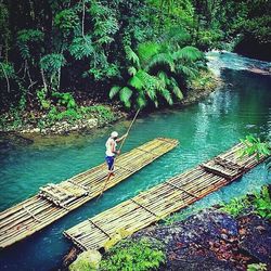 Rear view of woman standing by river