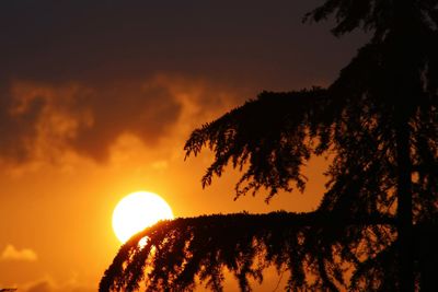 Low angle view of silhouette trees against sunset sky