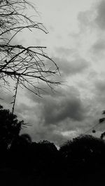 Low angle view of bare trees against cloudy sky