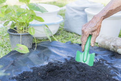 Cropped hand of person watering plants