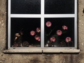 Close-up of flowers window