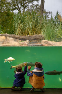 Sibling children looking at fish in a large aquarium