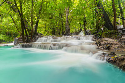 Scenic view of waterfall in forest