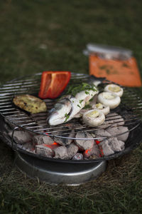 Full frame shot of vegetables and fish grilled on field