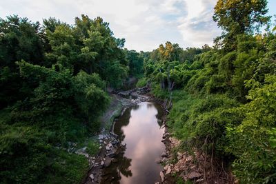 Stream amidst trees in forest against sky