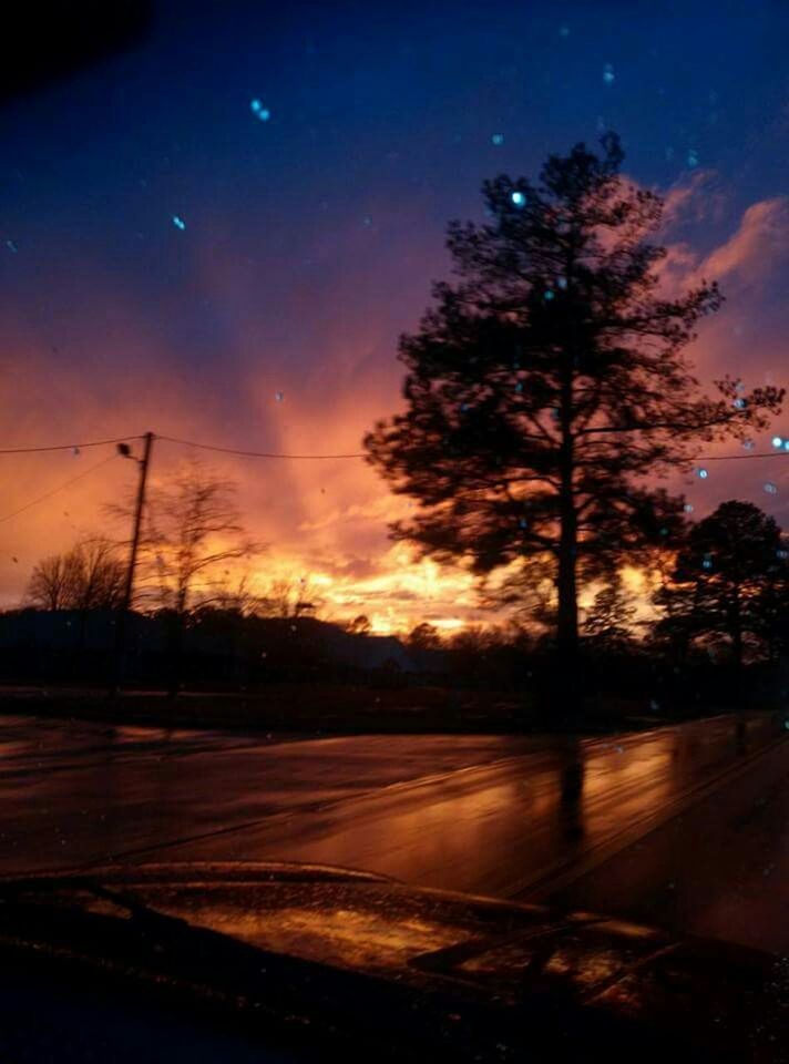 sunset, tree, silhouette, sky, tranquility, road, scenics, tranquil scene, beauty in nature, transportation, nature, cloud - sky, orange color, bare tree, landscape, dusk, idyllic, dark, no people, street