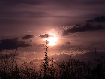 Scenic view of silhouette trees against sky during sunset