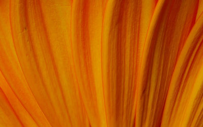 Full frame shot of orange