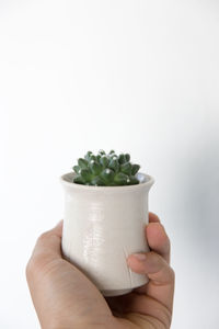 Close-up of hand holding cup over white background