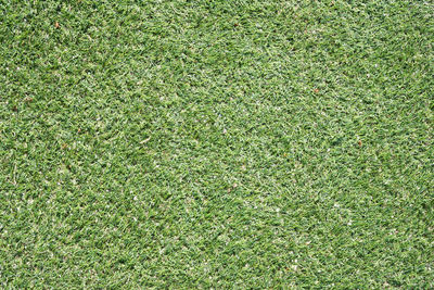 Full frame shot of soccer field