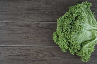 High angle view of leaf on table