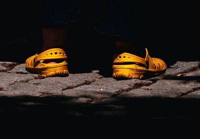 View of tree in the dark