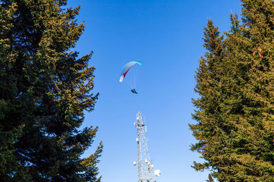 Low angle view of trees against clear blue sky