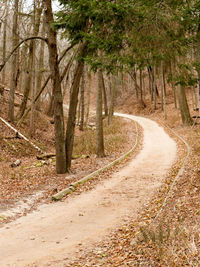 Road amidst trees in forest