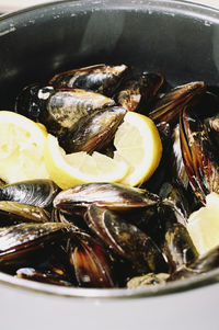 Close-up of oysters in plate