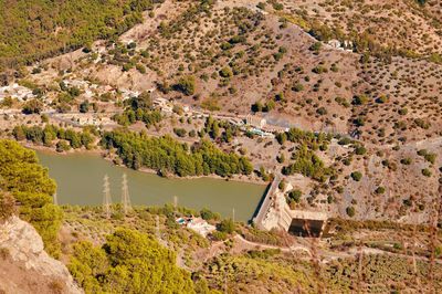 High angle view of trees on landscape