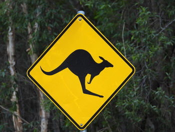 Close-up of yellow arrow sign on road