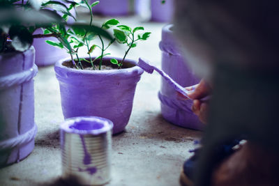 Close-up of hand holding potted plant