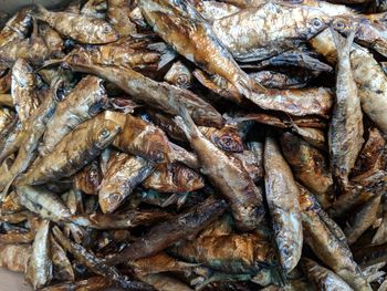 Close-up of fish in market