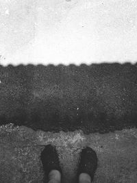 Low section of person standing on land