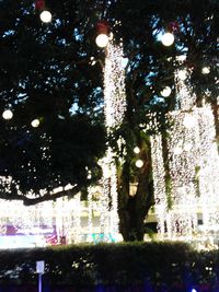 Low angle view of trees