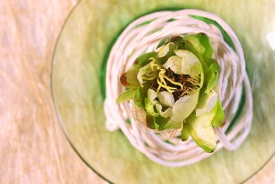 Directly above shot of flowering plant on table