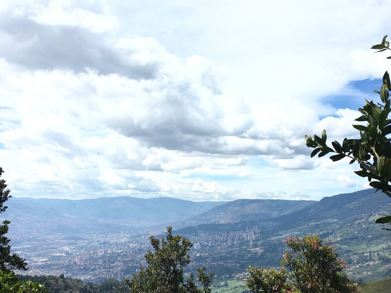 SCENIC VIEW OF MOUNTAINS AND TREE AGAINST SKY