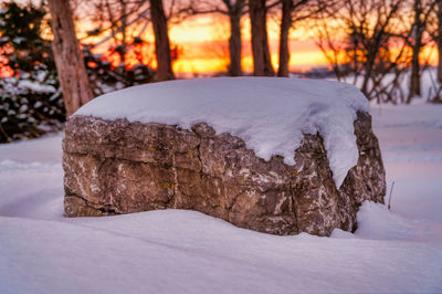 winter