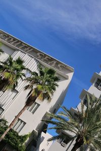 Low angle view of palm trees and building against sky