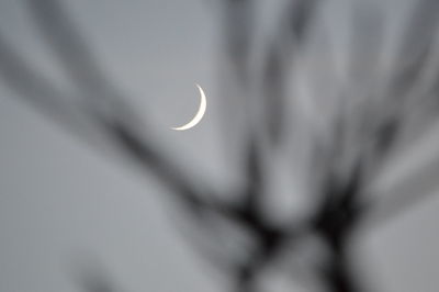 Low angle view of moon against sky