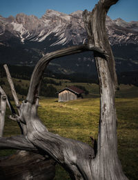 Scenic view of field against mountain