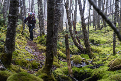 Smiling female backpacker on east coast trail in newfoundland