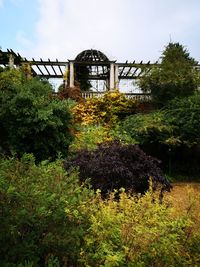 Arch bridge amidst trees against sky