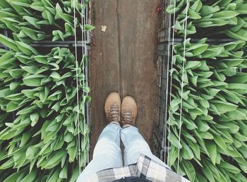Low section of man standing by plants