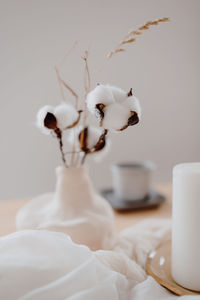 Close-up of white rose on table