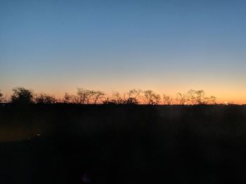 Silhouette trees on landscape against clear sky during sunset