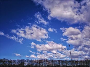 Low angle view of trees against cloudy sky