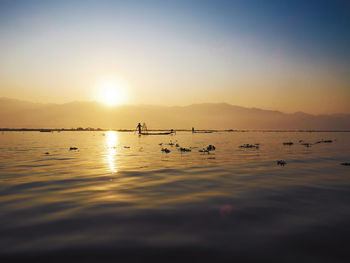 Silhouette birds swimming in lake against sky during sunset