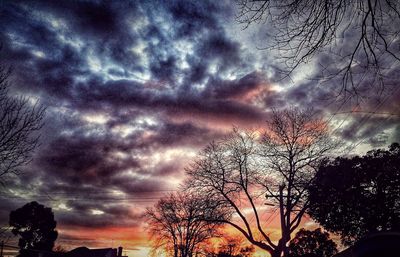 Silhouette of trees against dramatic sky
