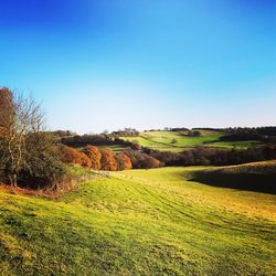 Scenic view of field against clear blue sky