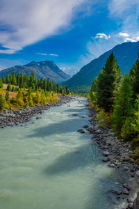 Scenic view of river amidst trees against sky