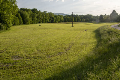 Hikes in spring through meadows and fields near bad nauheim.